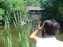 Filename=DSC02481.jpg
Filesize=67KiB
Dimensions=400x300
Date added=Jul 30, 2017 DSC02481.jpg