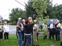 Filename=DSCF0090.JPG
Filesize=110KiB
Dimensions=600x450
Date added=Aug 07, 2017 DSCF0090.JPG